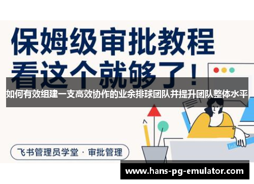 如何有效组建一支高效协作的业余排球团队并提升团队整体水平 如何有效组建一支高效协作的业余排球团队并提升团队整体水平