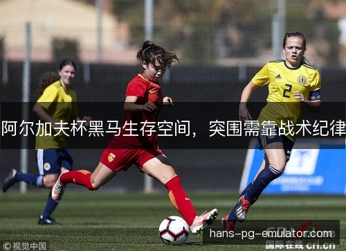 阿尔加夫杯黑马生存空间，突围需靠战术纪律